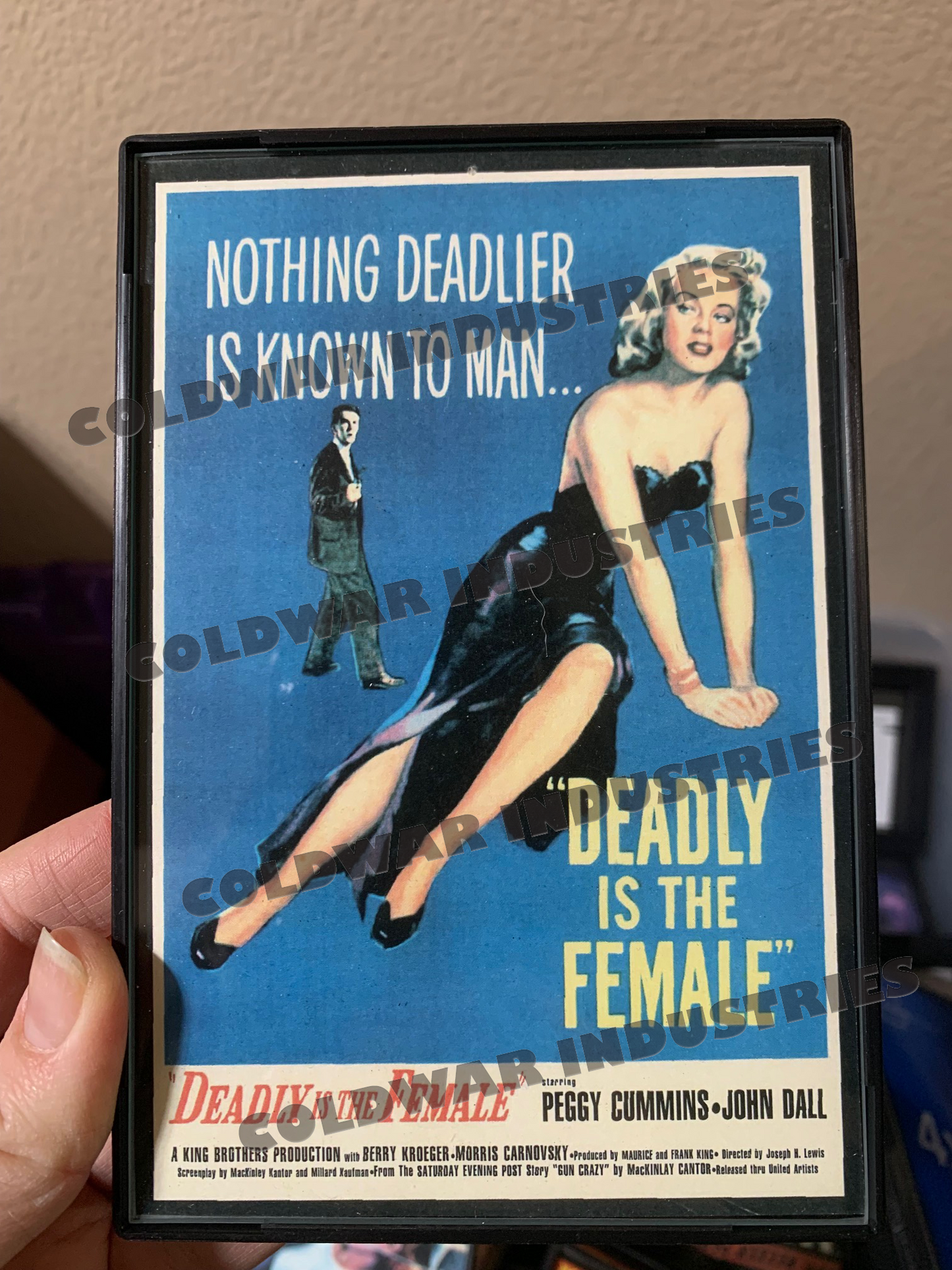 DEADLY IS THE FEMALE VINTAGE FRAMED PRINT